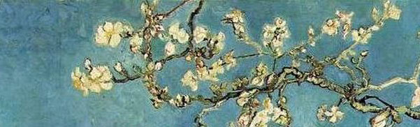 Van Gogh Almond Blossom